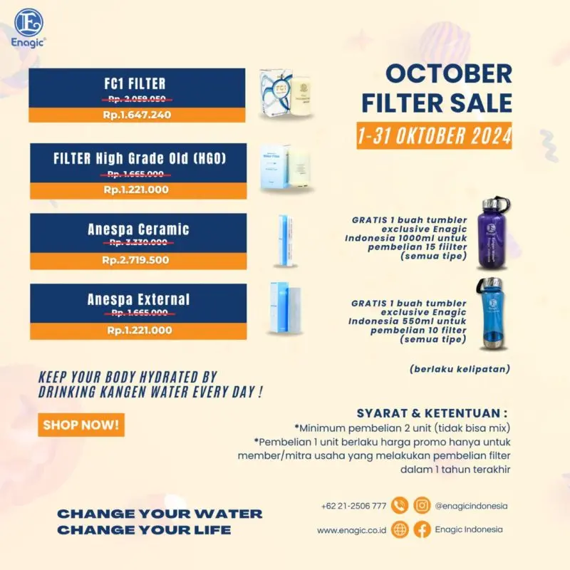 Flyer October Filter Sale
